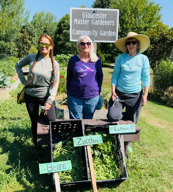 point master gardeners