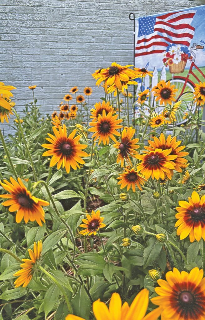 flower grow023