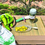 food pickles edit