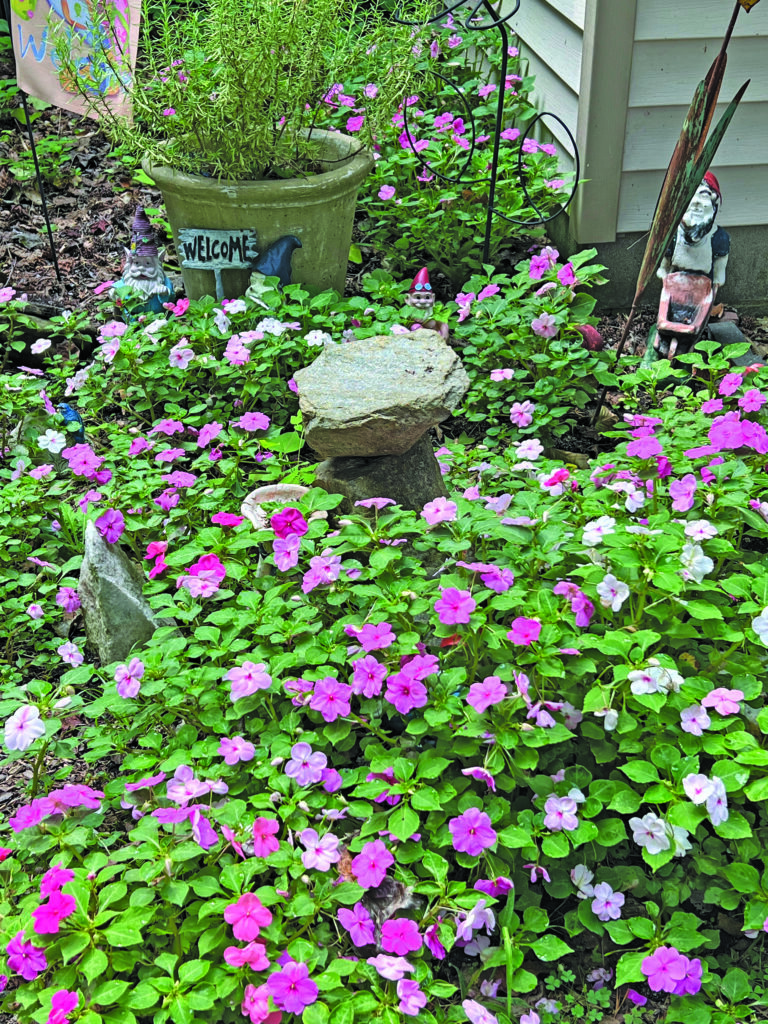 flower borja