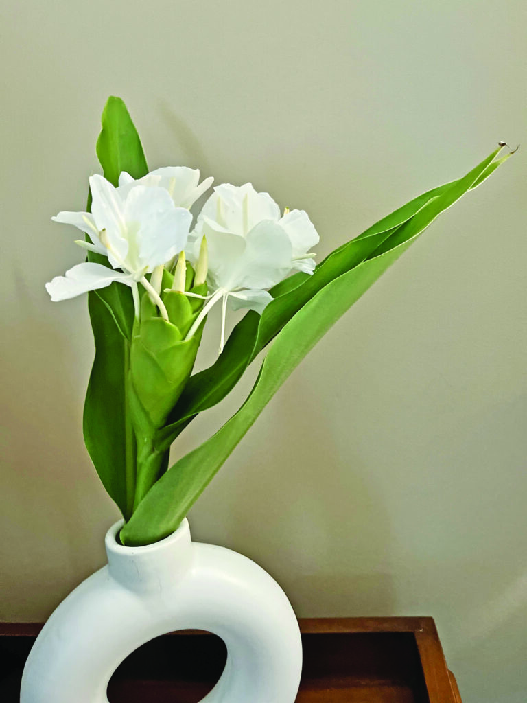 flower ceci brown ginger