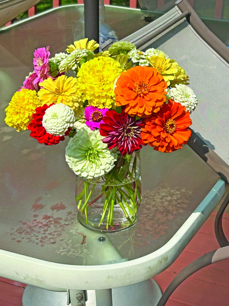 flowers ginger rowe