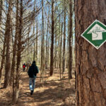 events dragon run hike