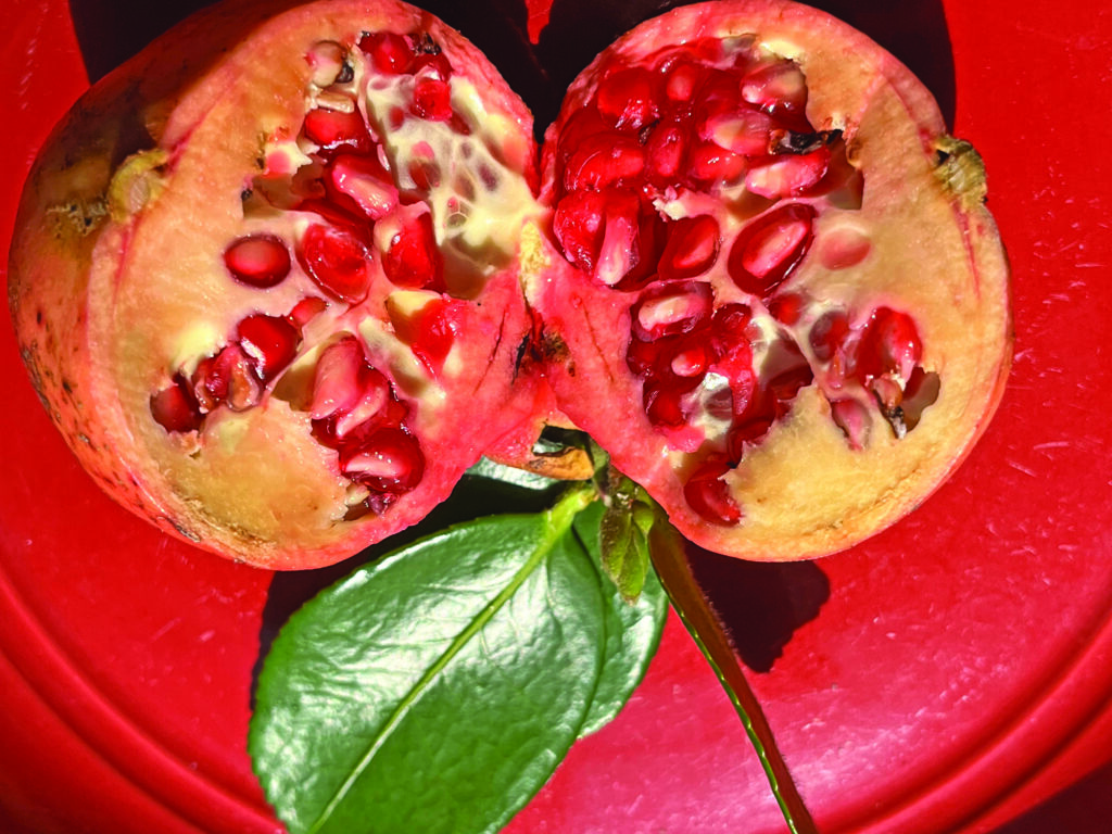 food pomegranate inside