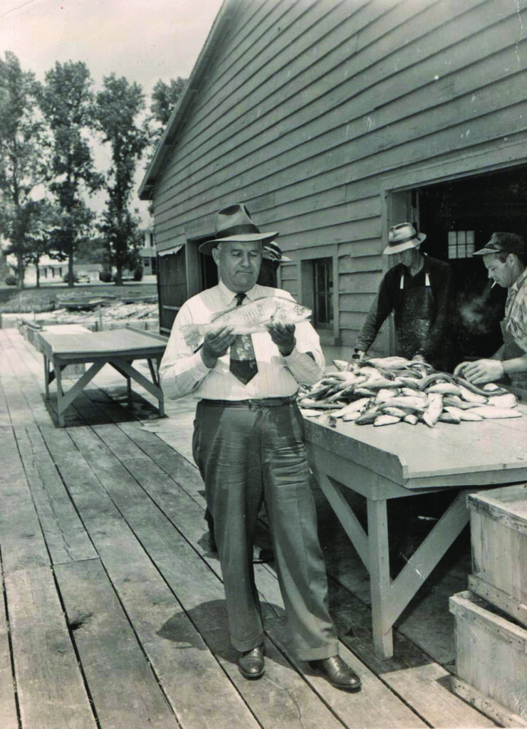 lore legend third generation callis wharf elwood page pics