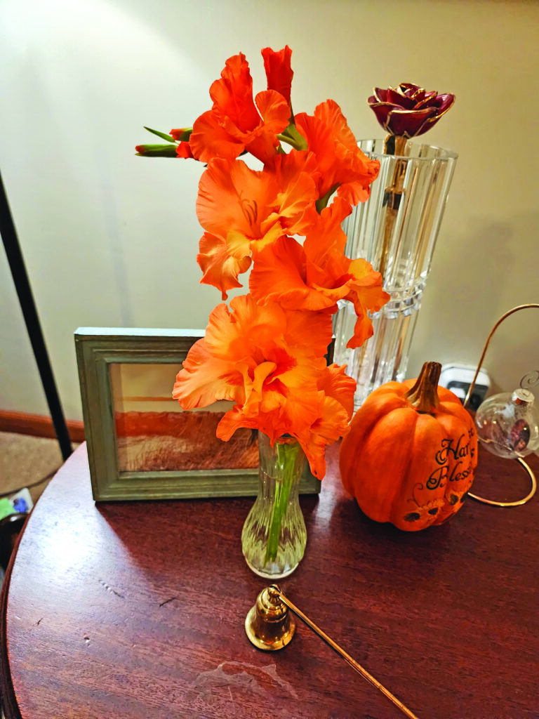 flower deb buchanan last gladiolus