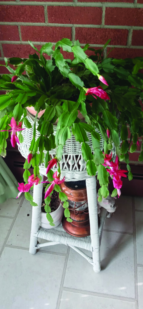 flower hudgins