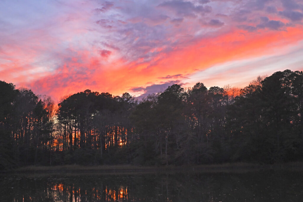 sunset sherertz