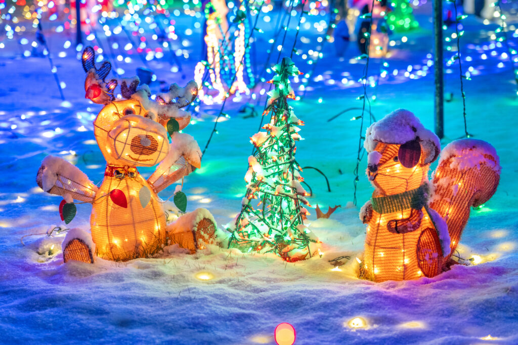 neighbors deltaville lights 2