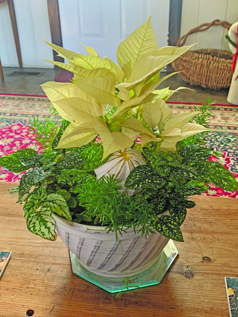 flower becky morgan 2