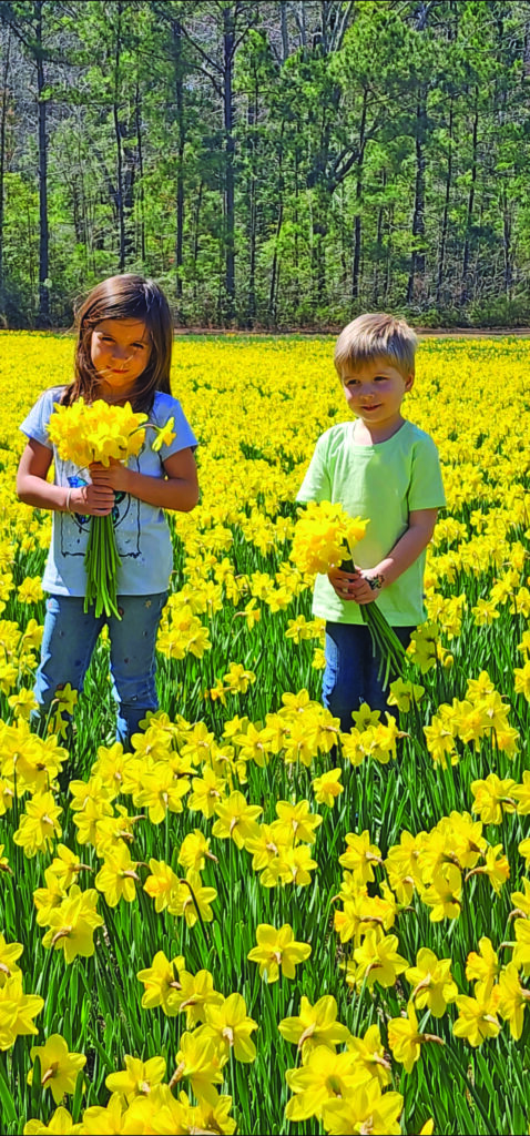flowers shinault