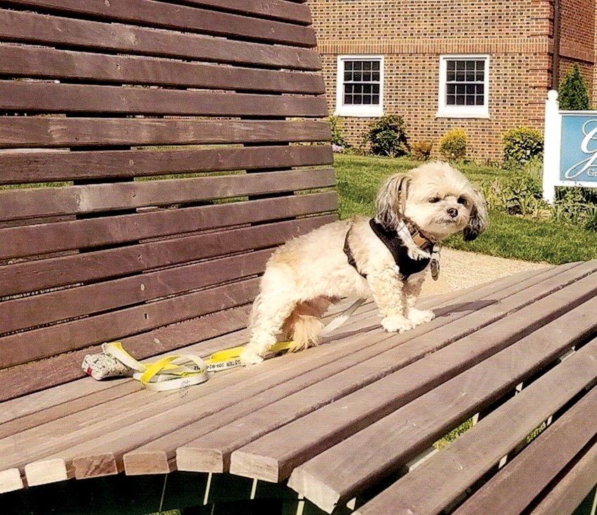 1a buster