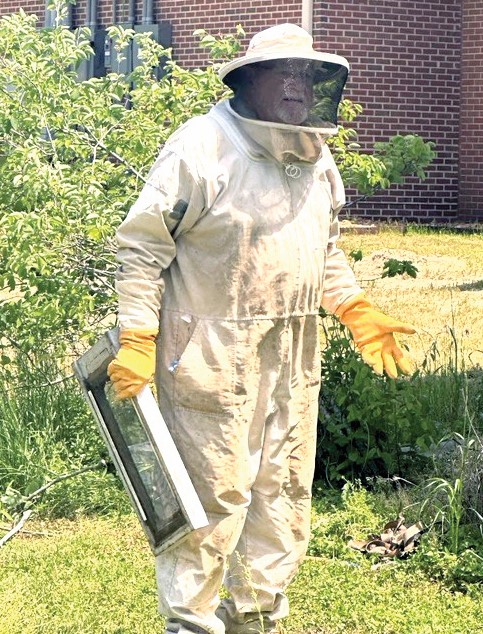 community beekeeper