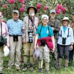 community birders