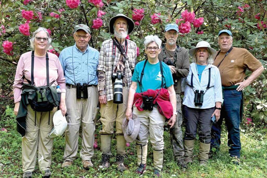 community birders