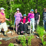 community pollinator habitat