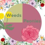 editorial flower chart