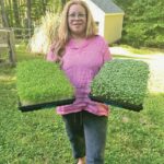 foood valerie with microgreens