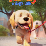 mathews canine companions film screening 1