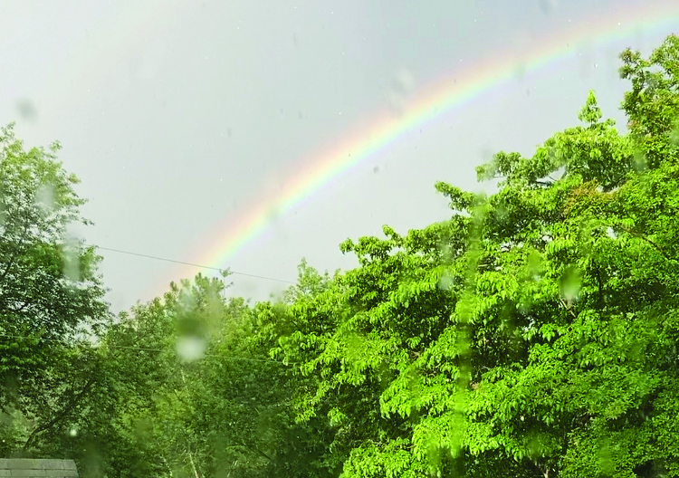 rainbow seys