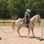 sports horse and pony show 1