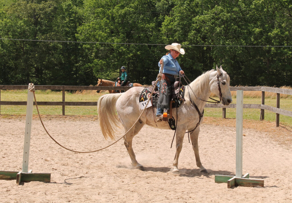 sports horse and pony show 1