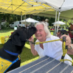 arts and barks puppy kisses