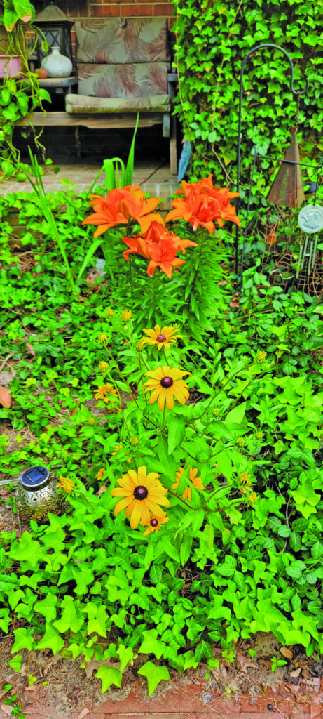 flower ackerson