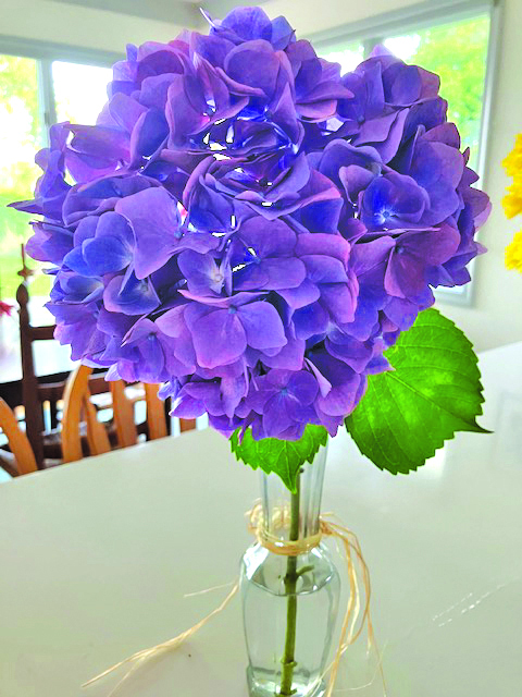 flower clark