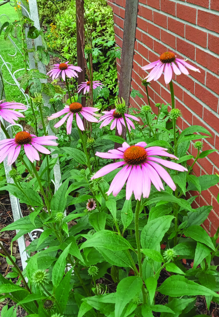 flowers hudgins