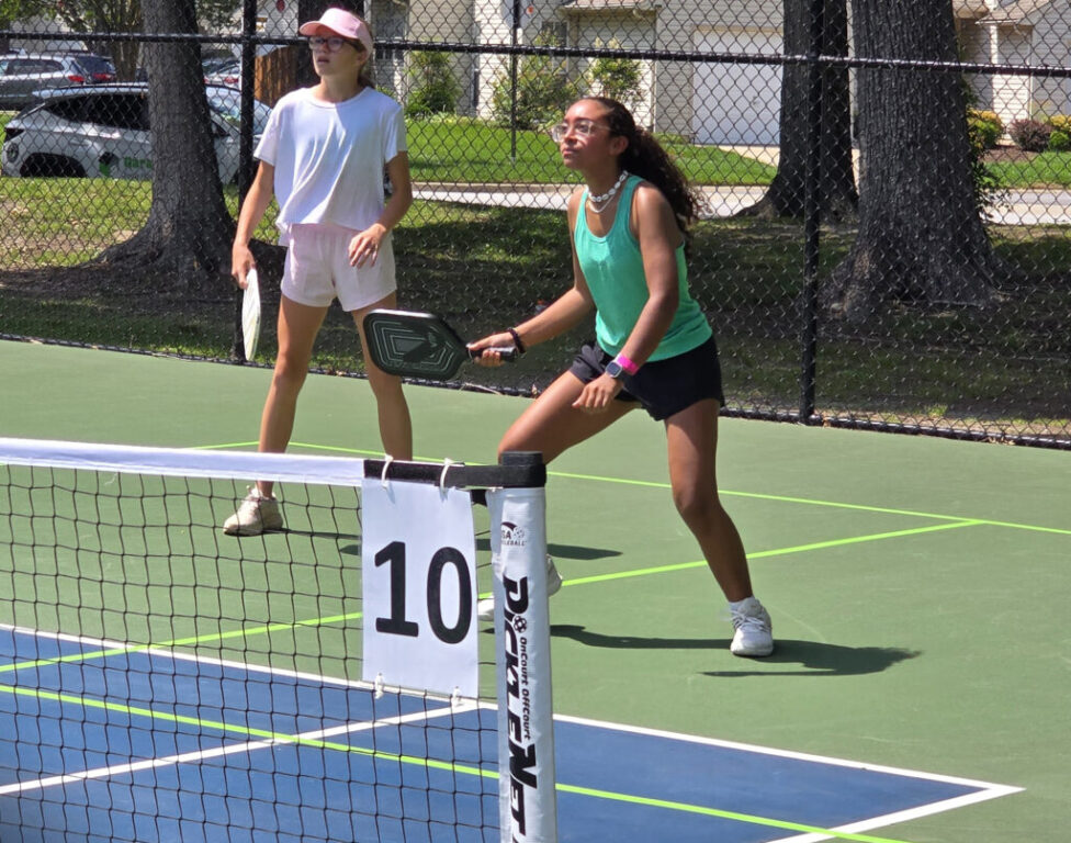sports pickleball 2