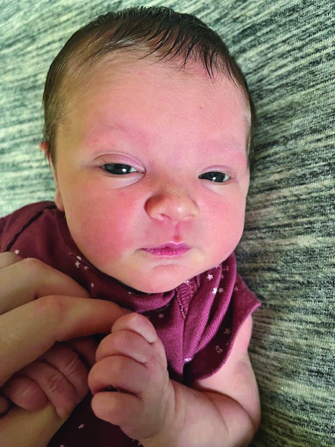 tracie grandbaby