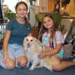 1a dogs with jobs retail 1
