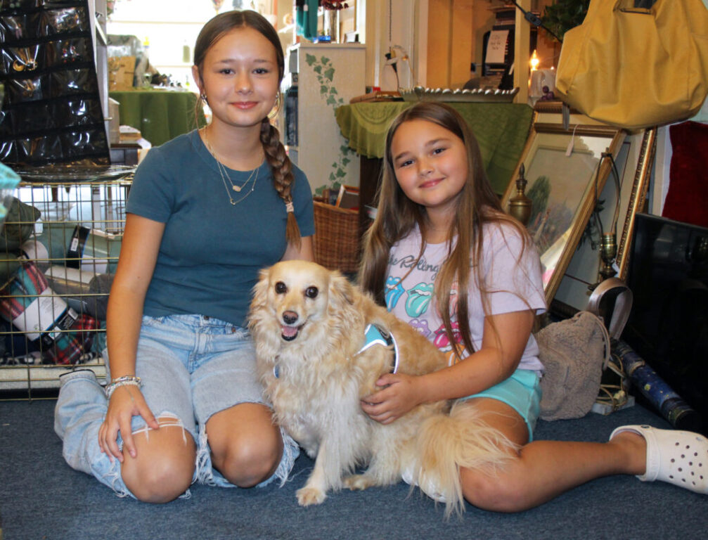 1a dogs with jobs retail 1