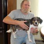 1a dogs with jobs trucker 1