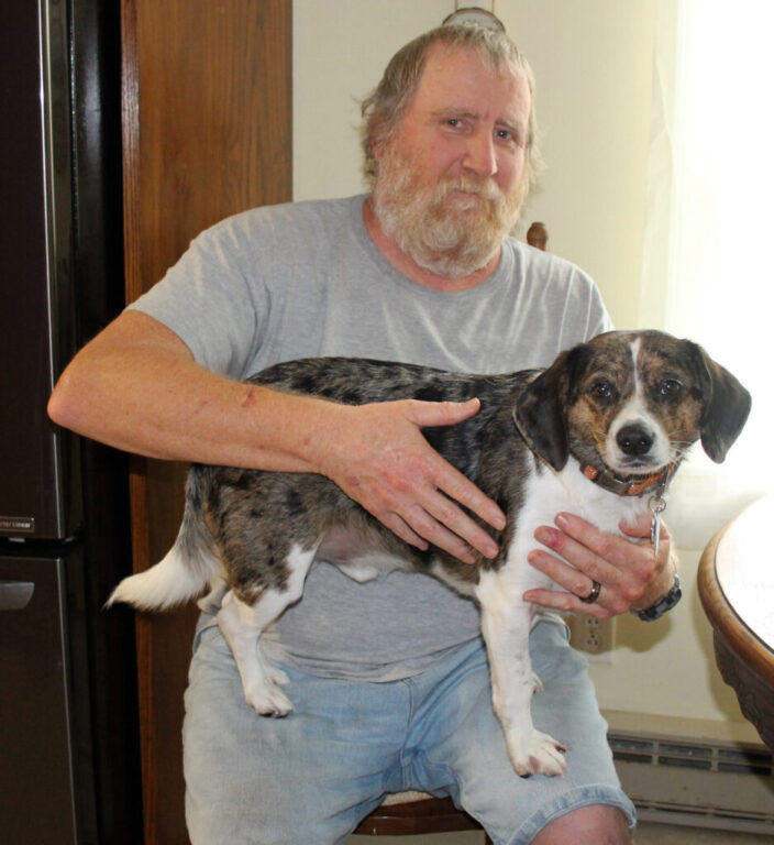 1a dogs with jobs trucker 1