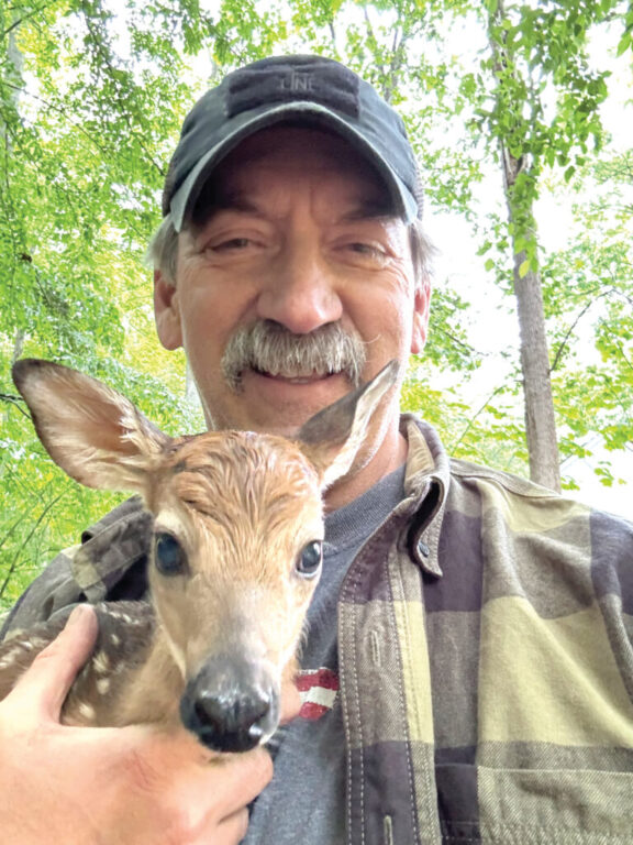 community rinderer with fawn