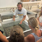 events oyster tour