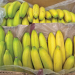 food banana 1