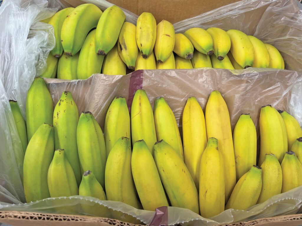 food banana 1