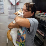 gloucester gmhs clear the shelters