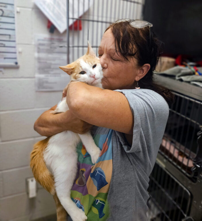 gloucester gmhs clear the shelters