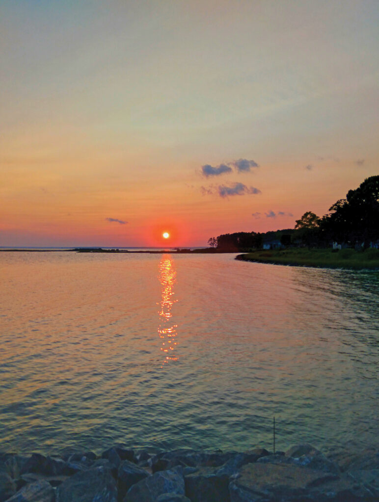 mobjack bay kathryn knight freeman