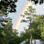 rainbow clark