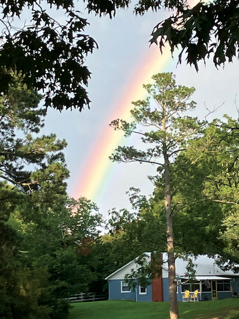 rainbow clark