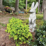 yard art lambert (1)
