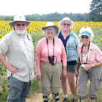 community butterfly count