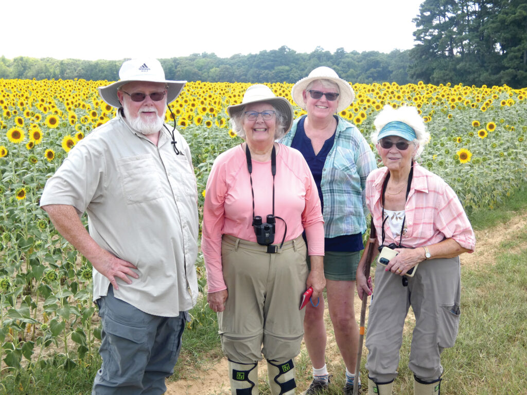 community butterfly count