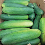 food cucumbers