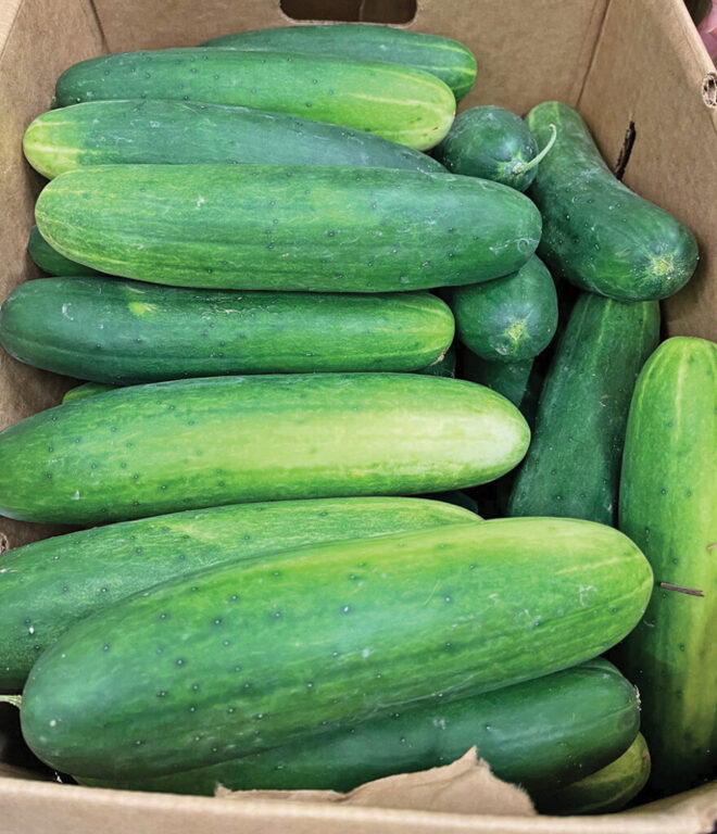food cucumbers